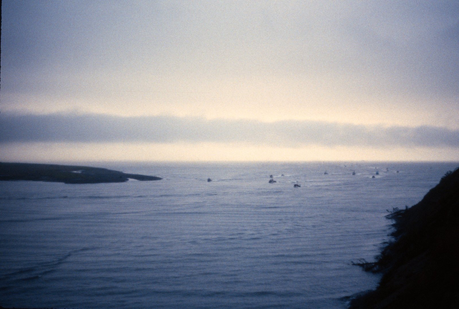 Alaska’s Kenai Peninsula: Salmon and Wilderness Conservation (image credits: wikimedia)