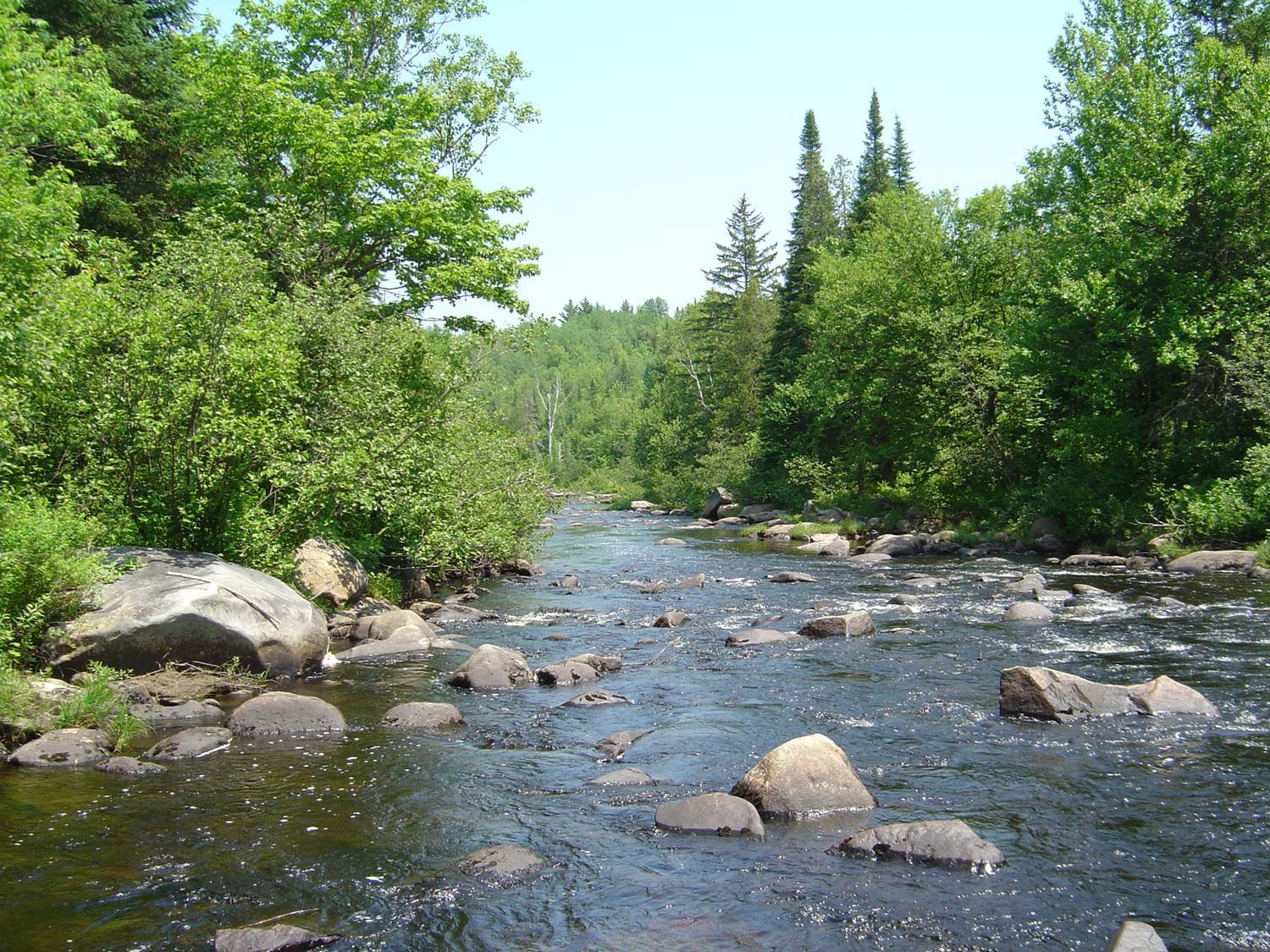 Vermont’s Green Mountains: Forest Conservation and Wildlife Tracking (image credits: wikimedia)