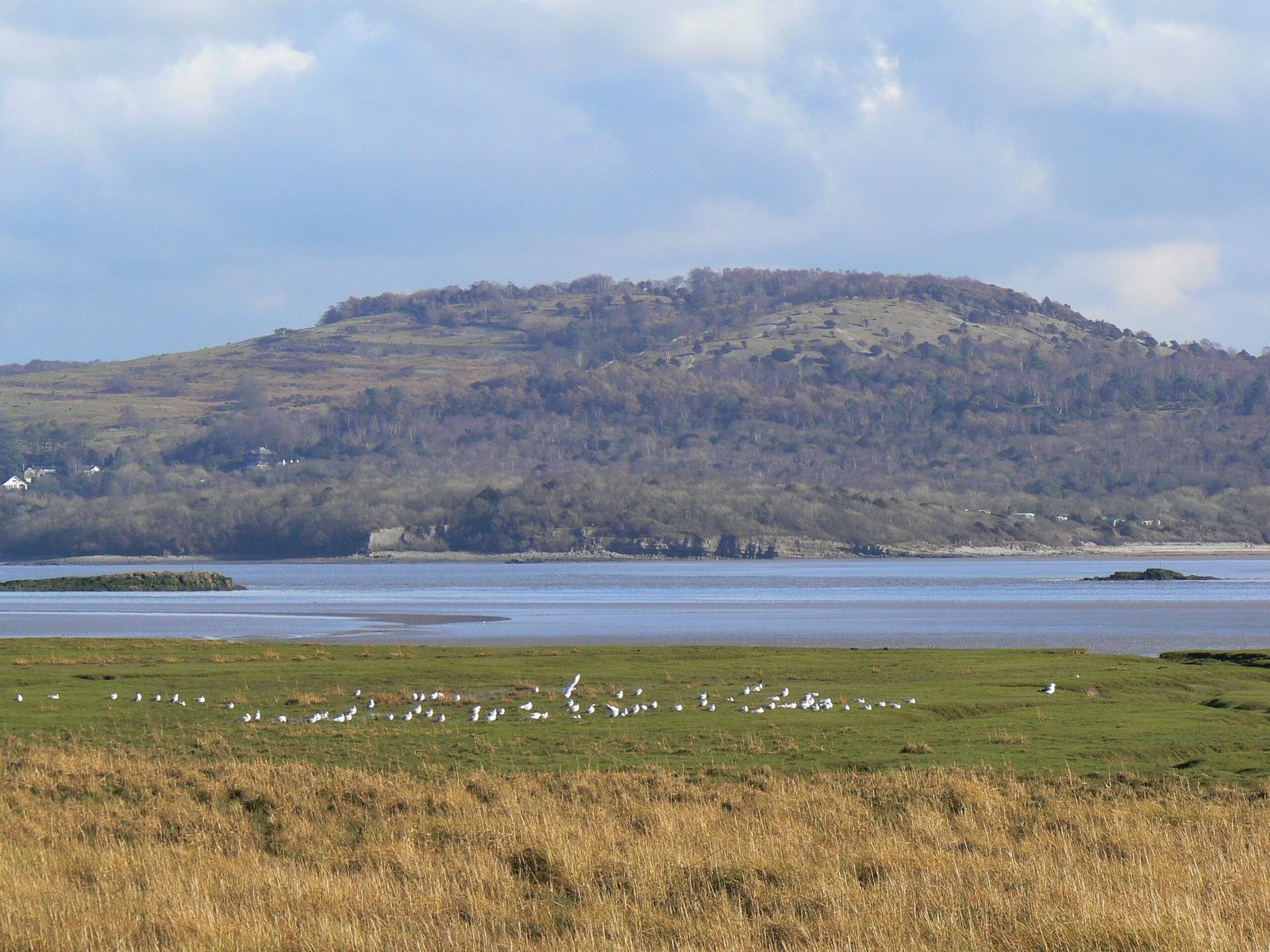 South Carolina’s Lowcountry: Salt Marshes and Bird Sanctuaries (image credits: wikimedia)