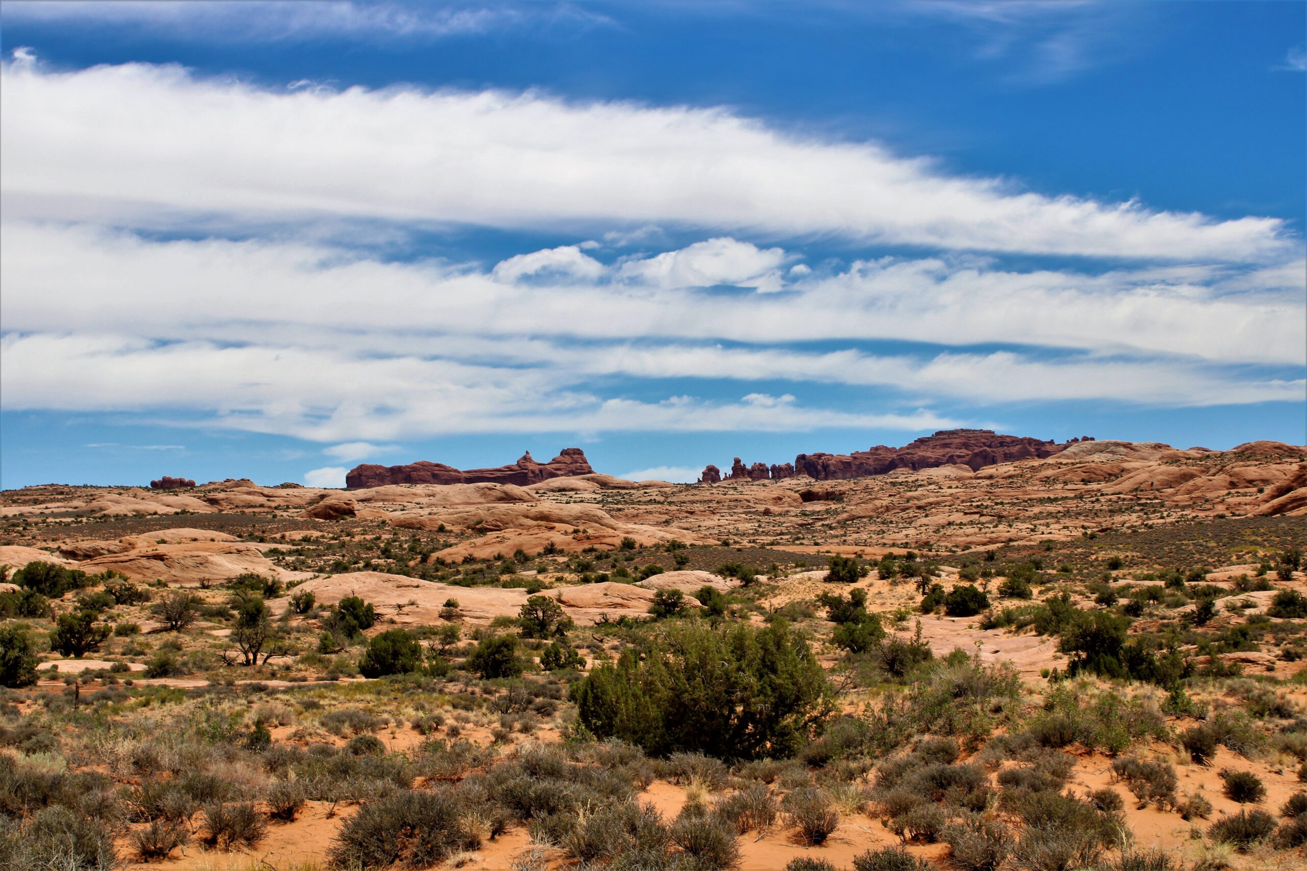Climb Petrified Sand Dunes (image credits: wikimedia)