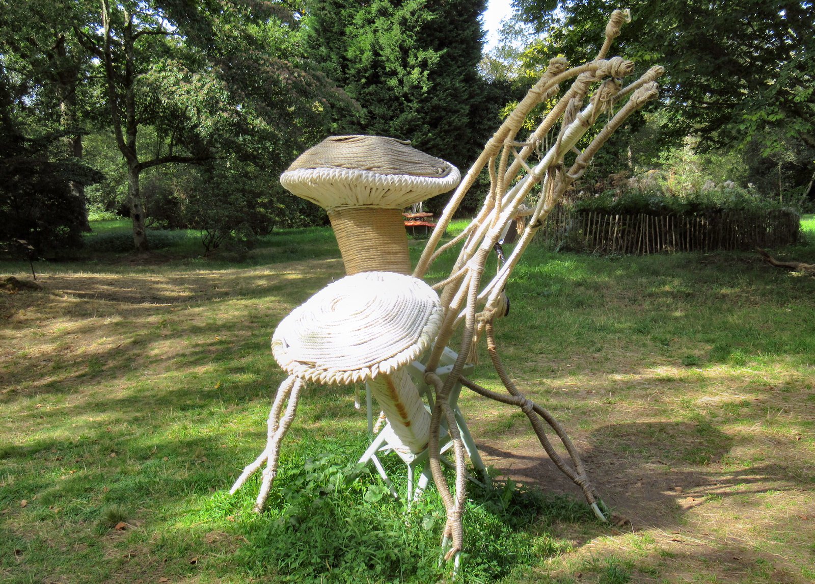 Communication Beneath the Surface (image credits: wikimedia)