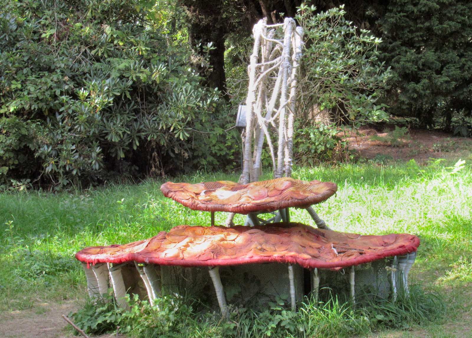 The Science of Tree “Eavesdropping” (image credits: wikimedia)