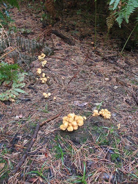 Climate Change and Shifting Alliances (image credits: wikimedia)