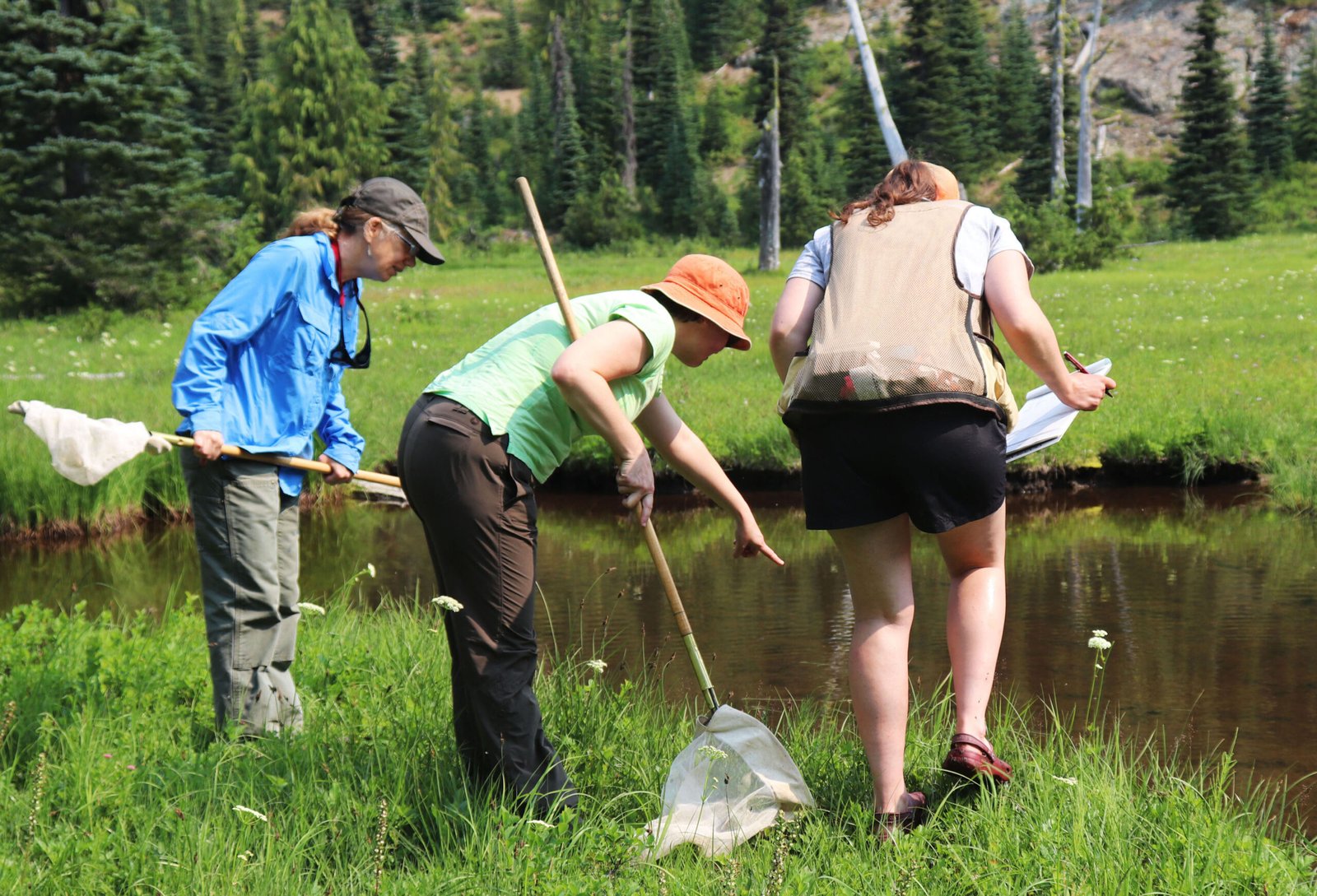 Engaging the Public: Citizen Science and Outreach (image credits: wikimedia)