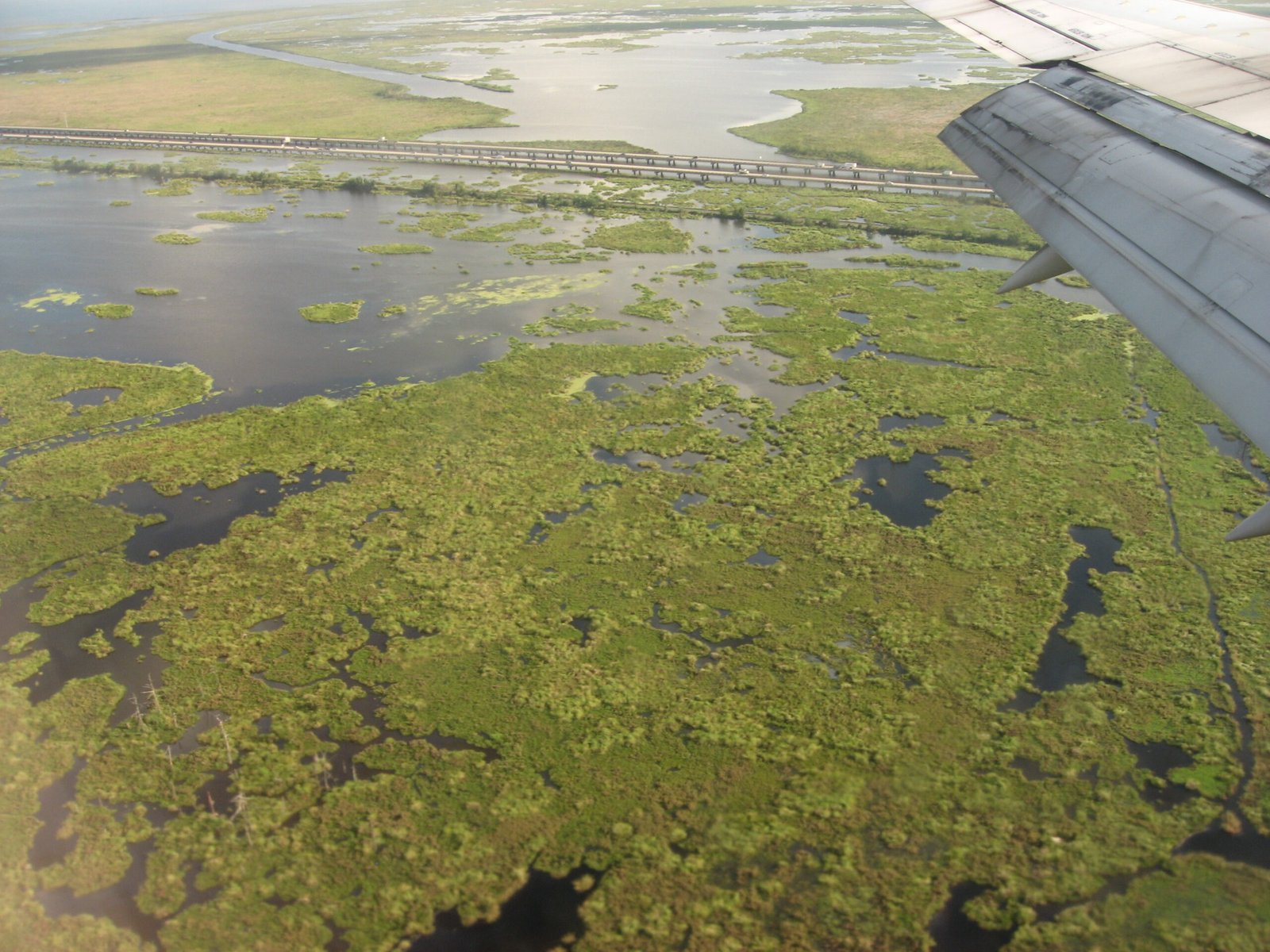 The Pulse of America’s Wetlands (image credits: wikimedia)