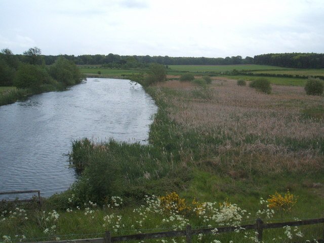 Rising Seas and Sinking Land: A Double Jeopardy (image credits: wikimedia)