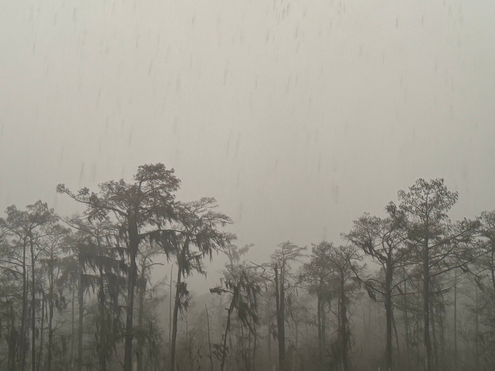 Storms That Strike Harder and More Often (image credits: wikimedia)