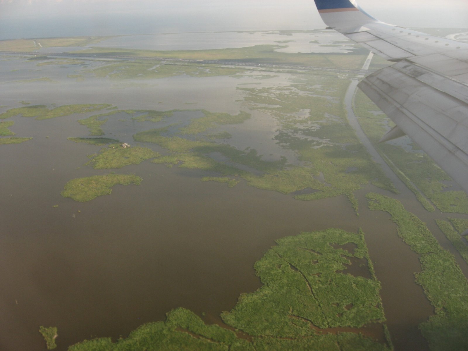 The Future: Hope, Uncertainty, and the Call to Action (image credits: wikimedia)