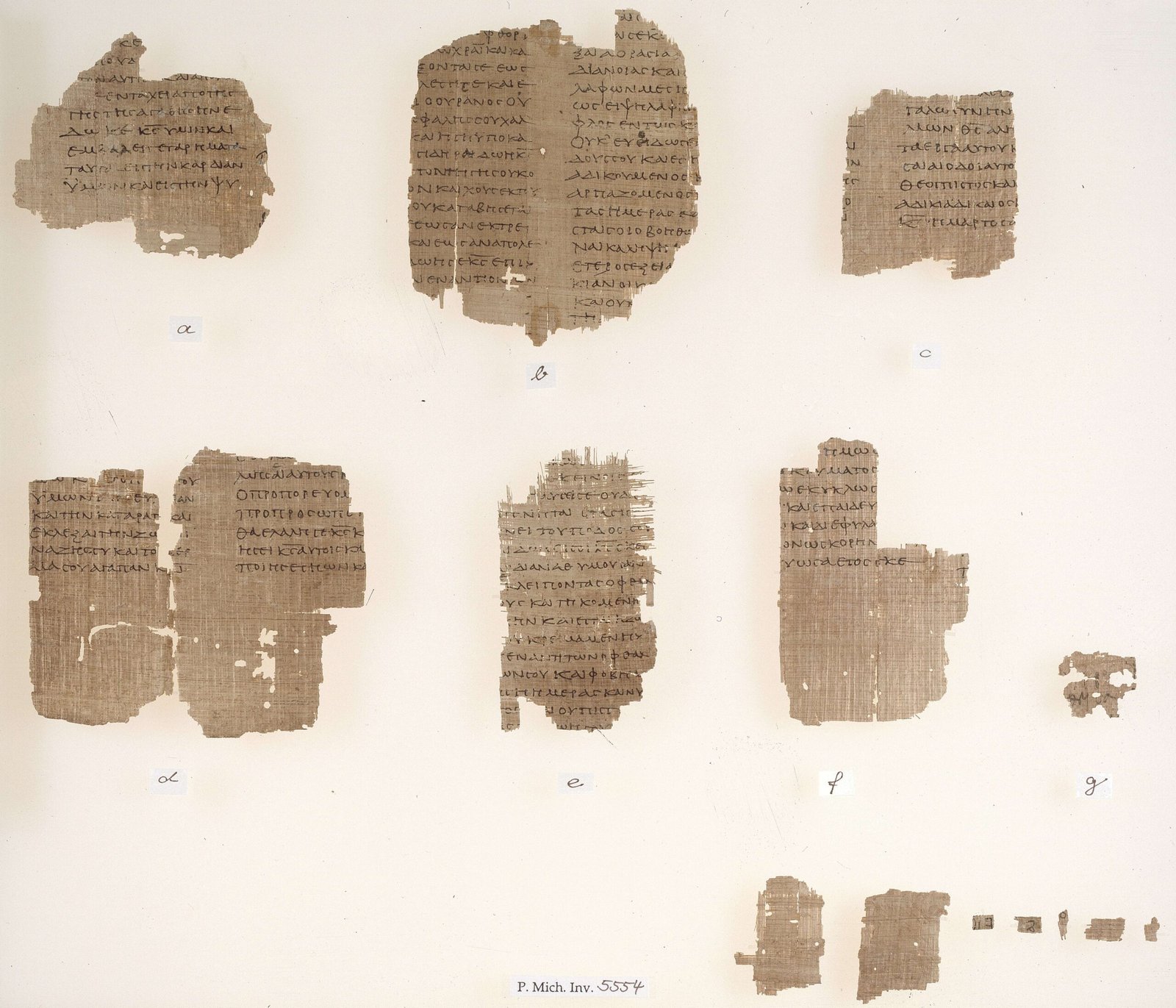 Piecing Together the Fragments (image credits: wikimedia)