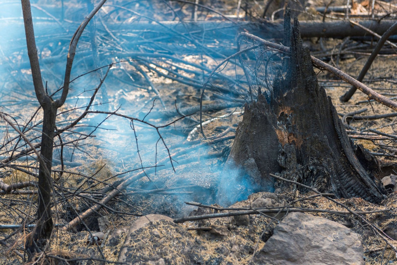 The Science of Smoldering Fires (image credits: wikimedia)