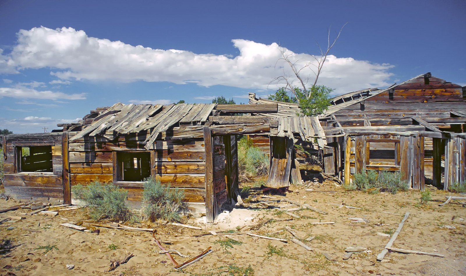 The Ghost Town’s Last Residents (image credits: wikimedia)