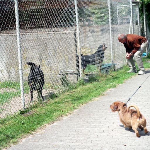 Challenges in Rural and Underserved Communities (image credits: wikimedia)