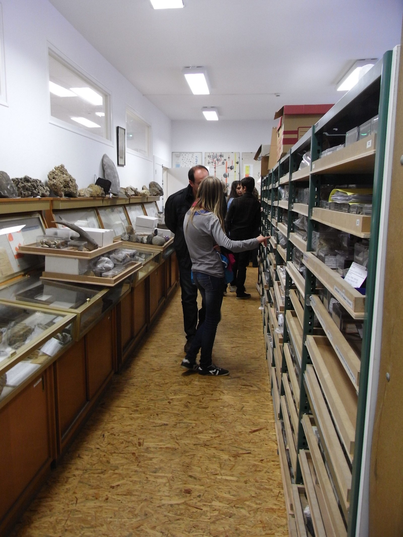 Fighting Extinction: Specimens as Conservation Tools (image credits: wikimedia)