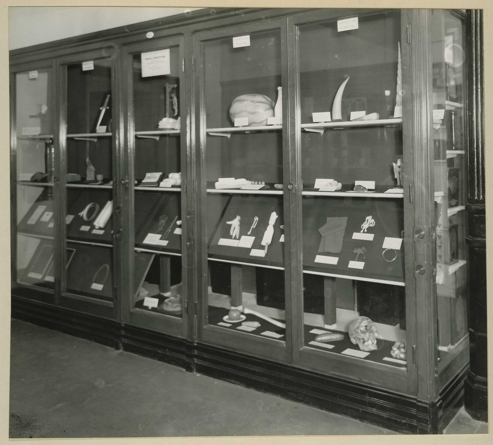 Specimens and Medicine: Cures from the Cabinets (image credits: wikimedia)