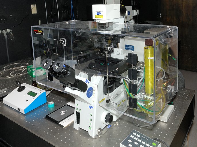Microcosms Under the Microscope (image credits: wikimedia)