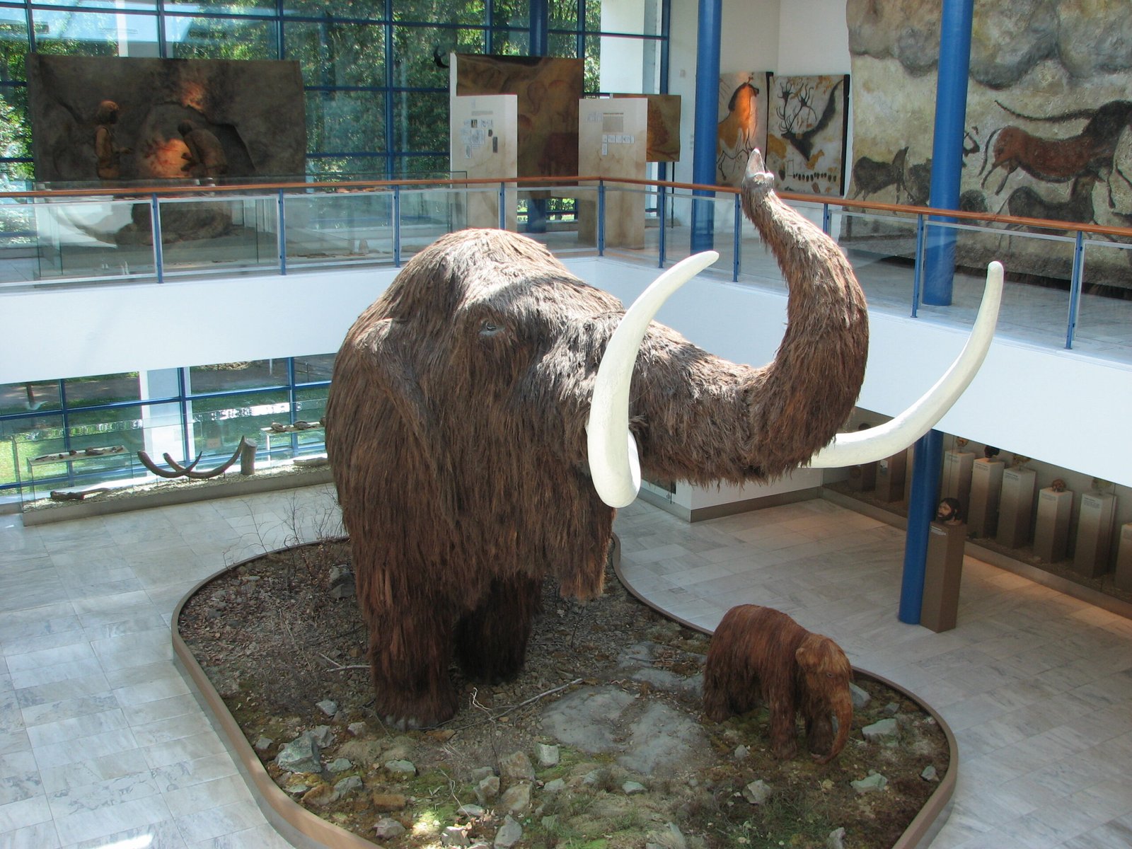 The Siberian Mammoth with Intact DNA (image credits: wikimedia)
