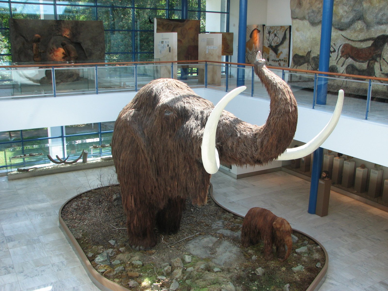 Hidden Museum Treasures That Changed What We Know About Life on Earth