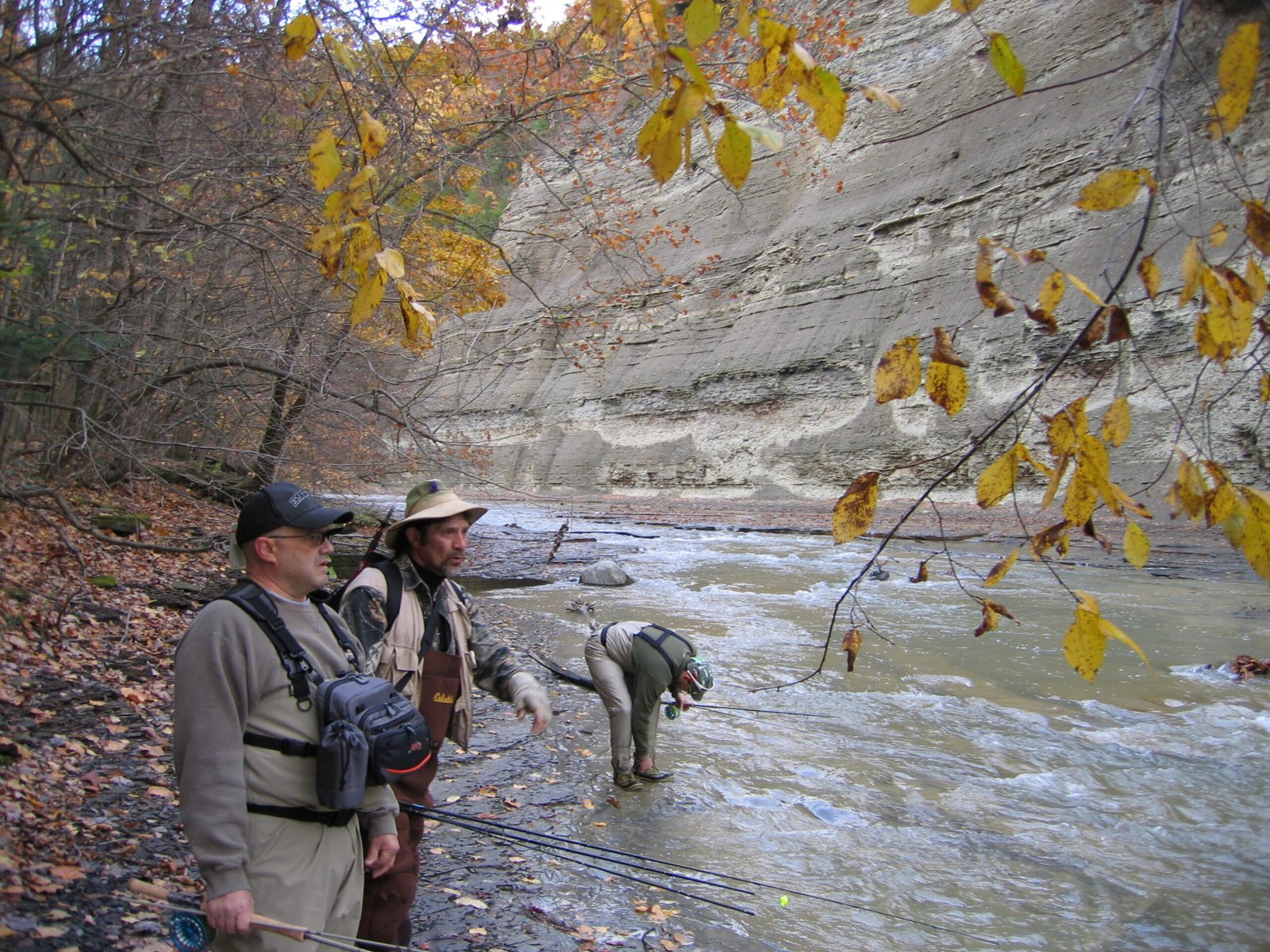 Empowering Citizen Science (image credits: wikimedia)