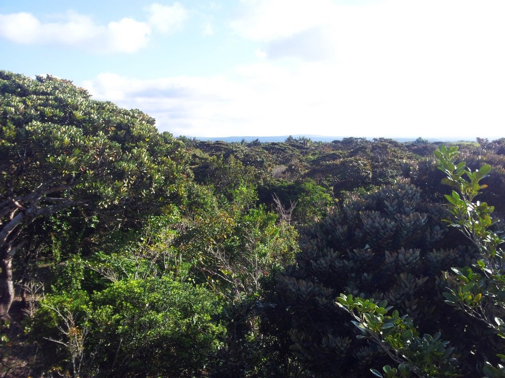 Documenting Indigenous Knowledge and Practices (image credits: wikimedia)