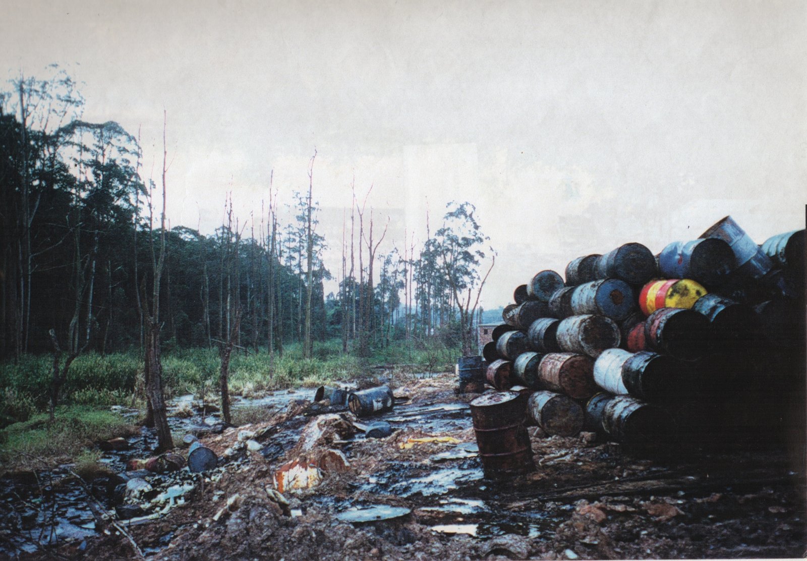 Exposing Environmental Crimes (image credits: wikimedia)