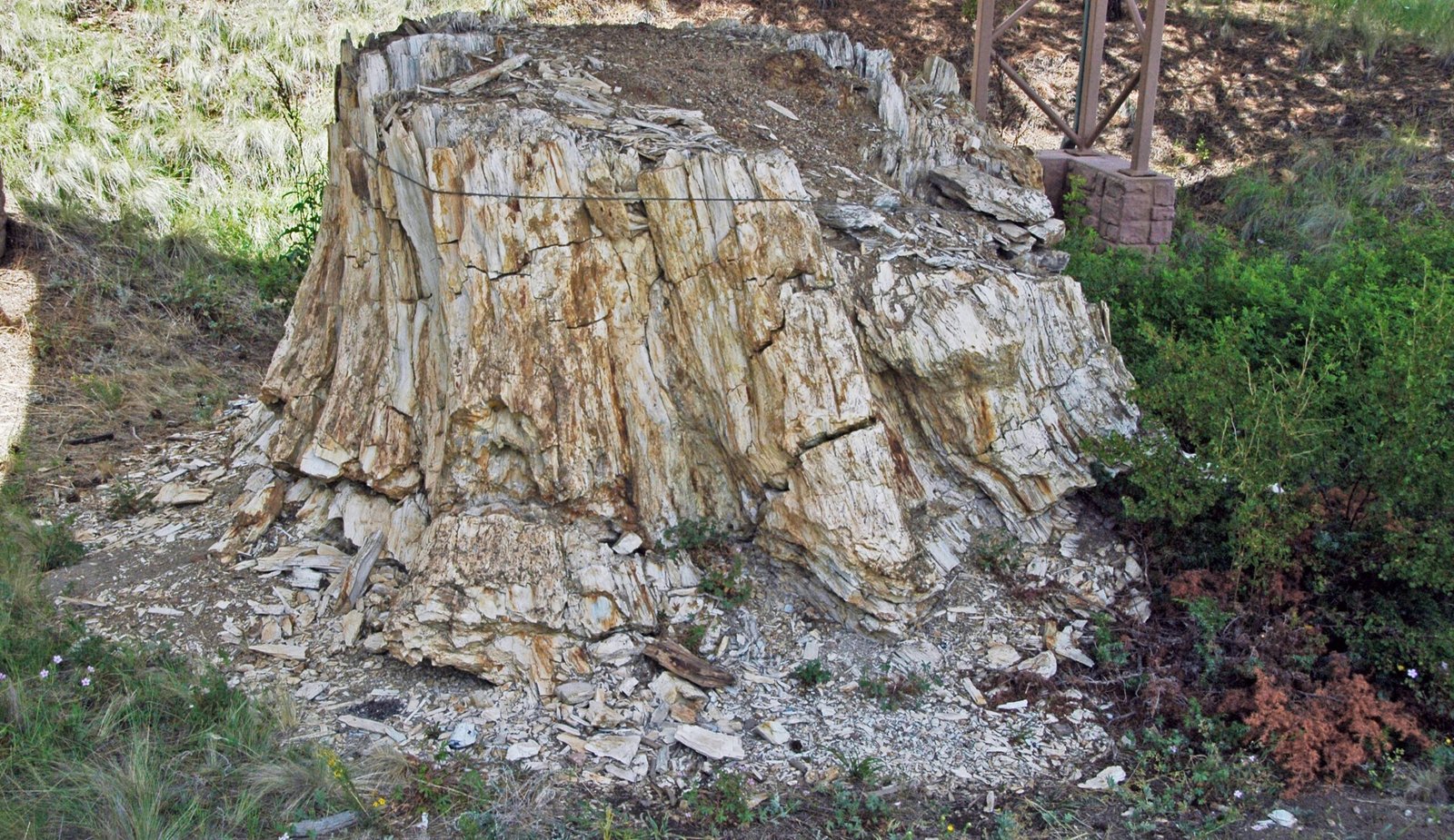 A Lost World Revealed by the Tides (image credits: wikimedia)