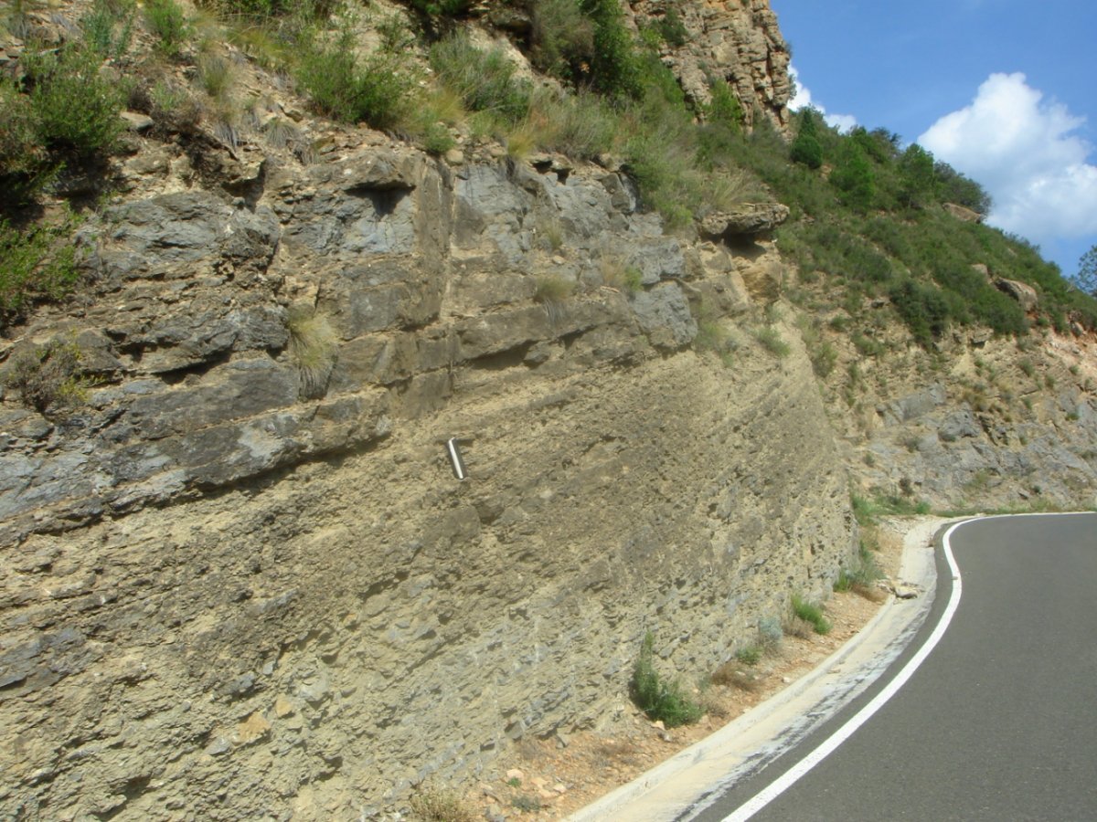 Bimini Road: Natural Wonder or Ancient Highway? (image credits: wikimedia)