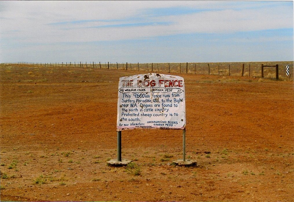 The Dingo Fence: A Monument to Conflict (image credits: wikimedia)
