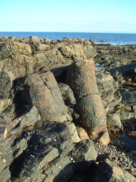 The Fossil Vaults: Life Preserved in Darkness (image credits: wikimedia)