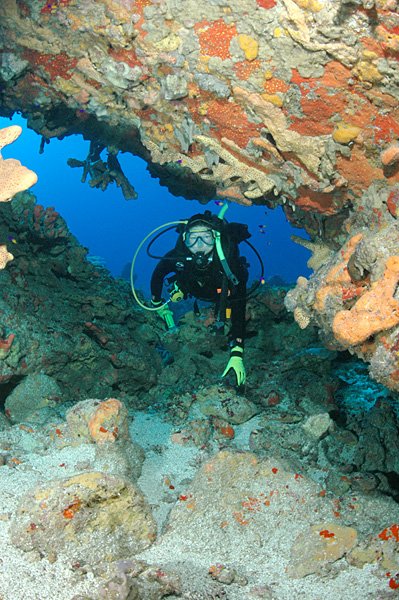 Underwater Caves Hold Secrets: Fossils, Human Remains, and the Science of Drowned Worlds
