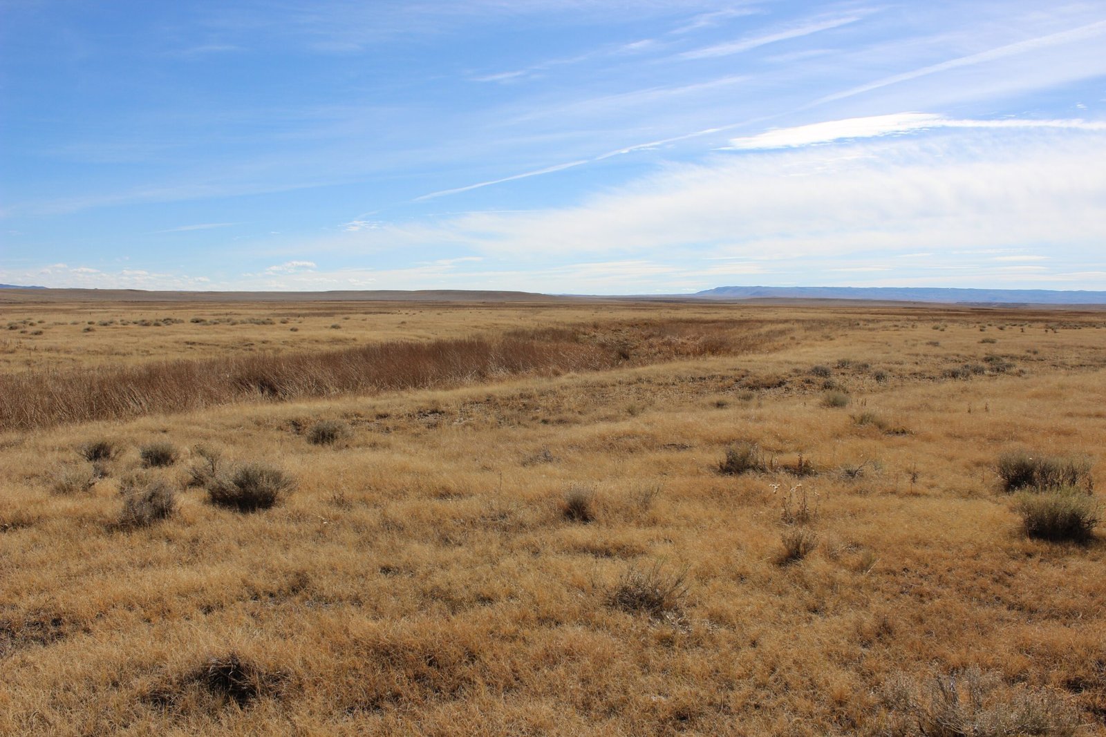 Climate Change: Turning Up the Heat (image credits: wikimedia)