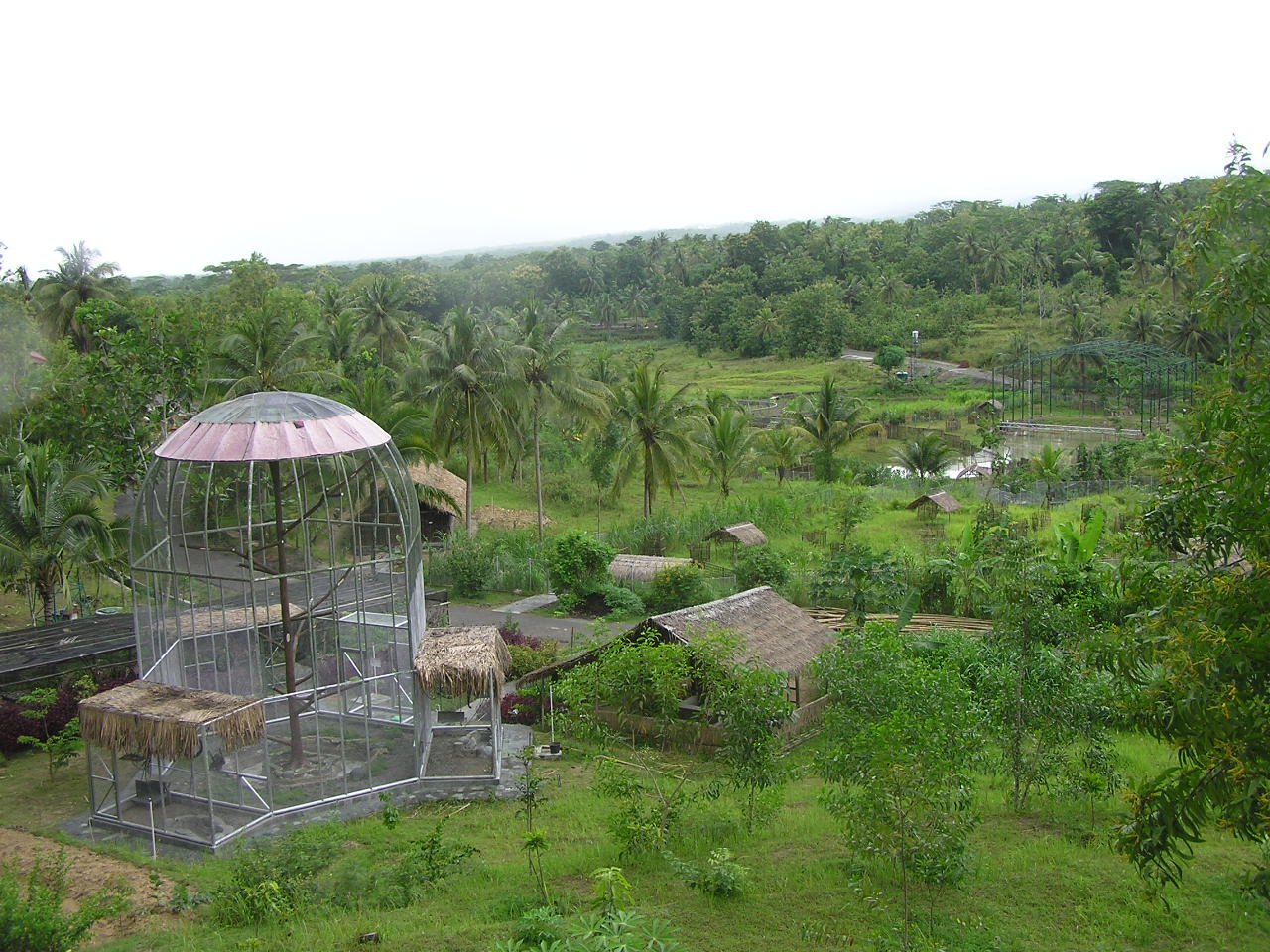 Rescue Efforts: Heroes in the Shadows (image credits: wikimedia)