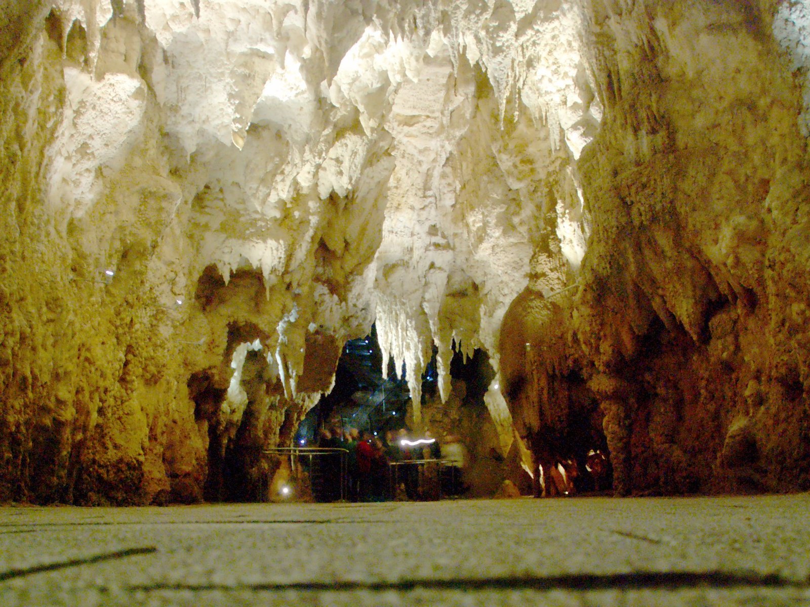 Environmental Sensitivity: Fragile Beauty (image credits: wikimedia)