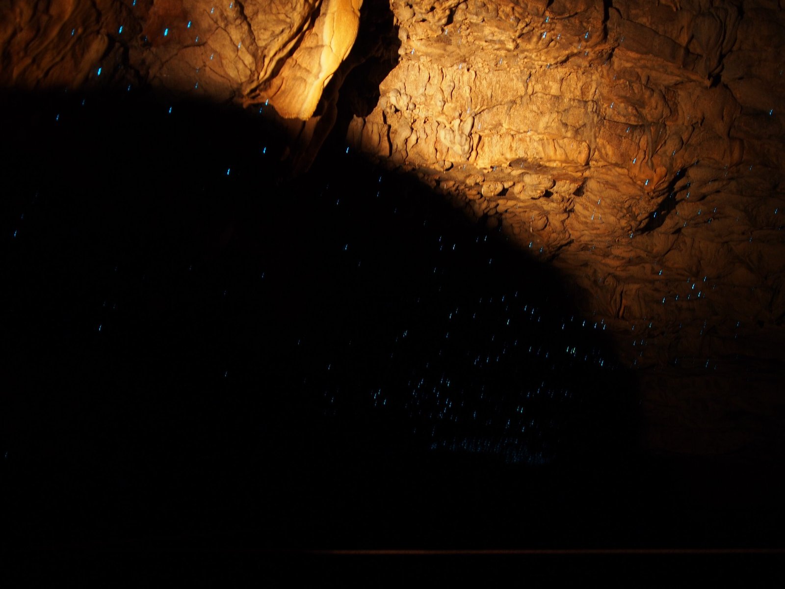Adaptations to Cave Life (image credits: wikimedia)