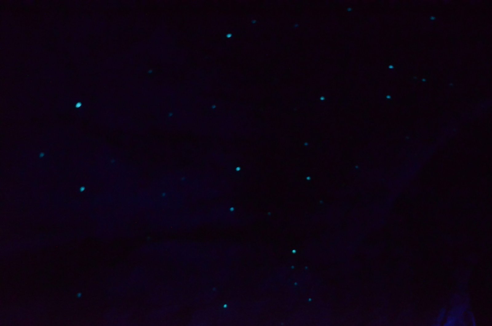 What Lies Beneath: The Enduring Mystery (image credits: wikimedia)