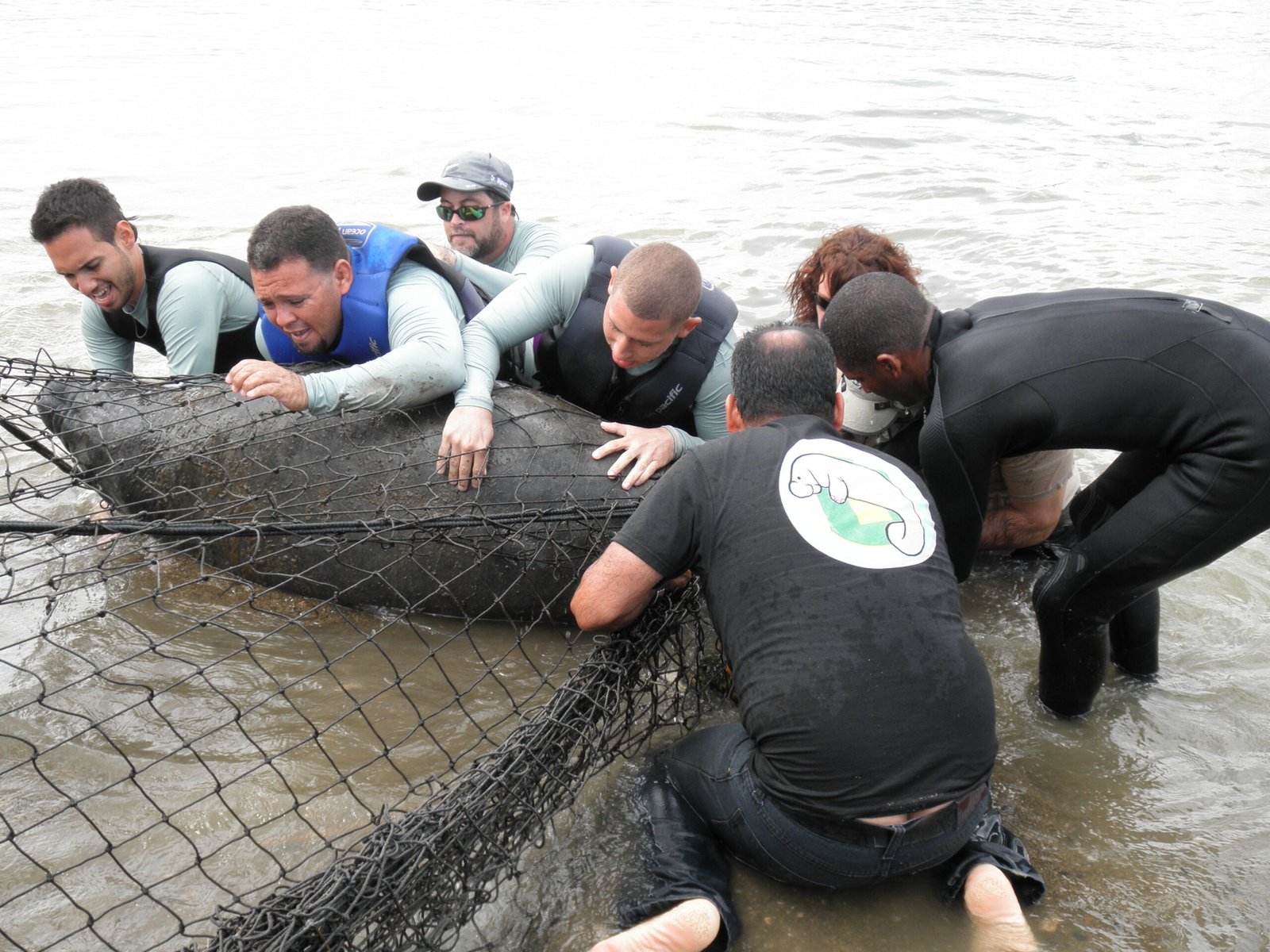 Citizen Science: Everyday People Making a Difference (image credits: wikimedia)