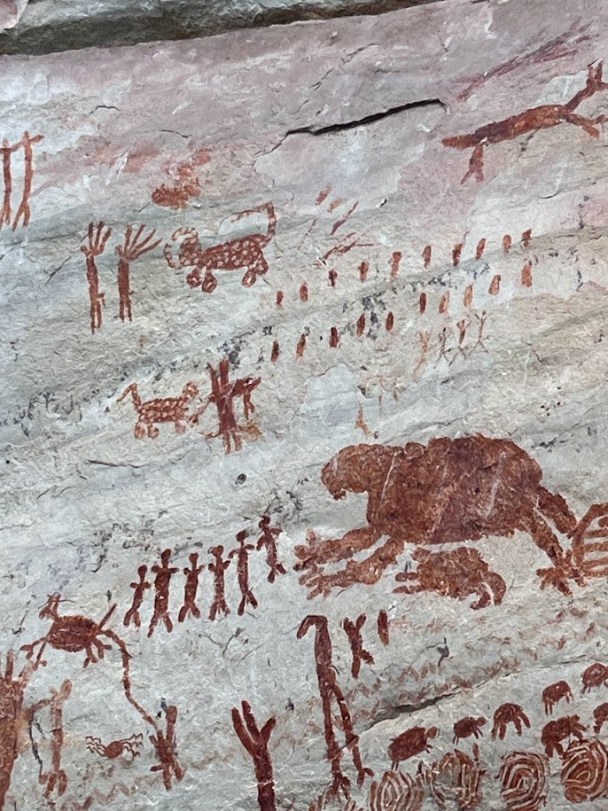 Myth or Misidentified Megafauna? (image credits: wikimedia)