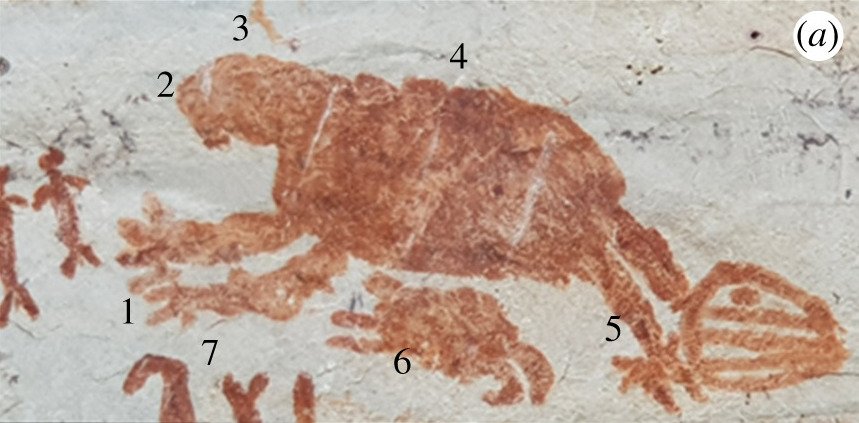 The Mapinguari in Modern Science (image credits: wikimedia)