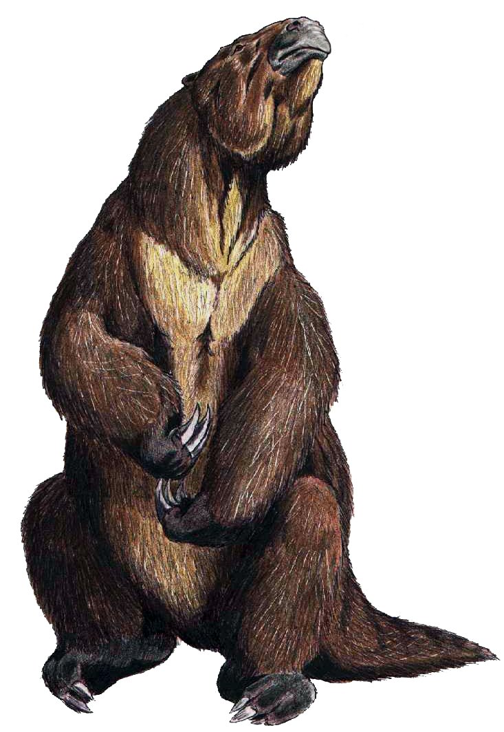 Possible Explanations: From Sloths to Spirits (image credits: wikimedia)