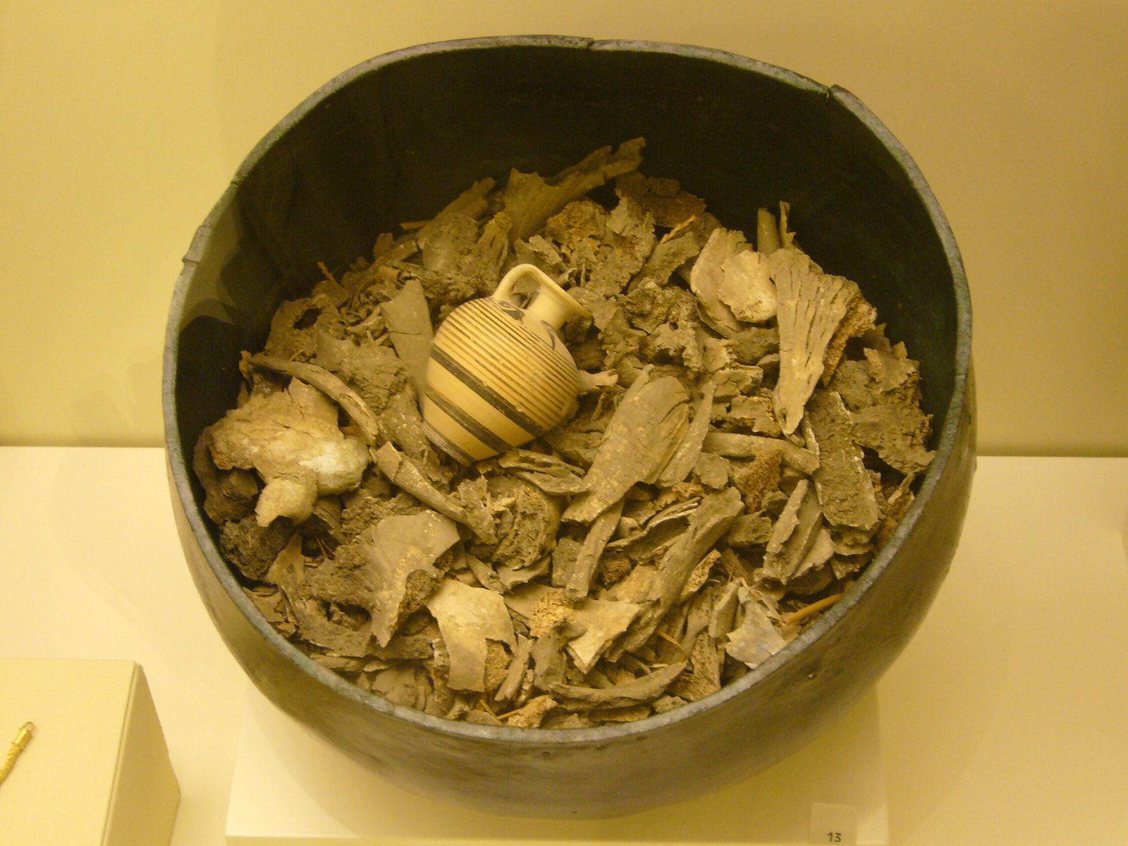 Mungo Man: A Window Into the Past (image credits: wikimedia)