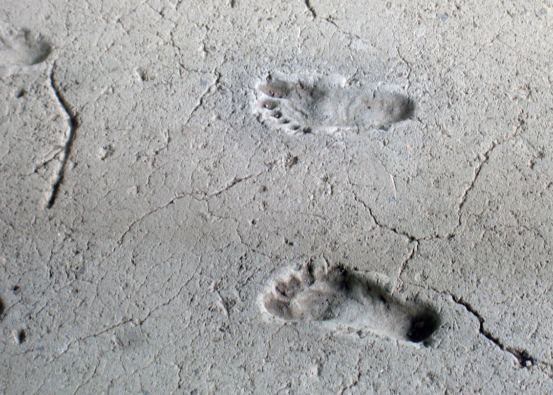 Footprints in the Sands of Time (image credits: wikimedia)
