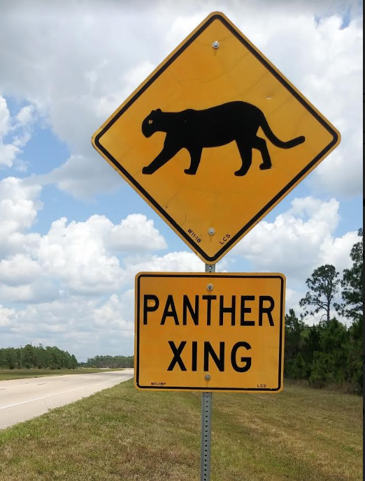 The Science of Panther Crossings (image credits: wikimedia)