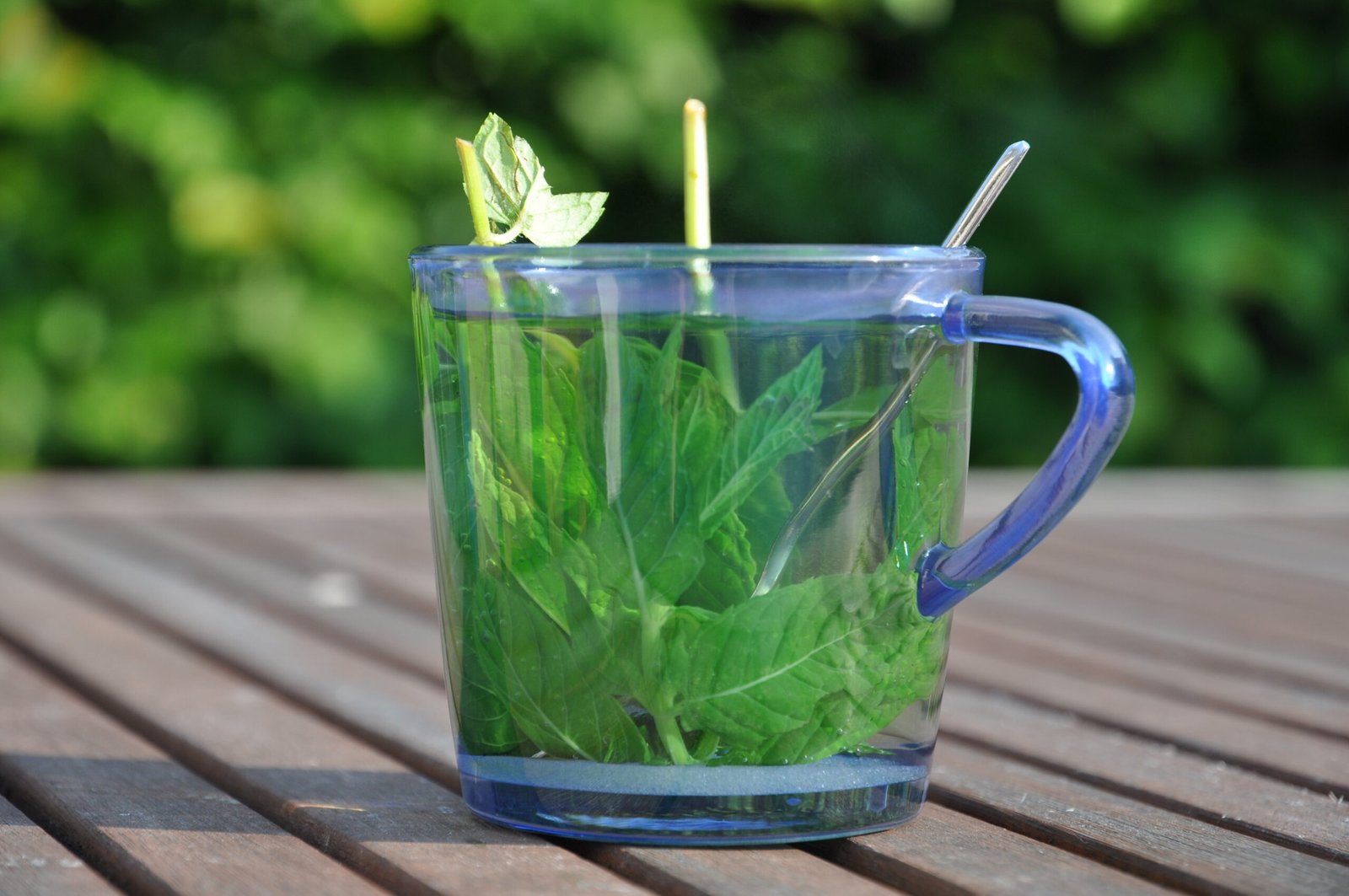 From Wild to Cup: Experimental Teas on the Rise (image credits: wikimedia)