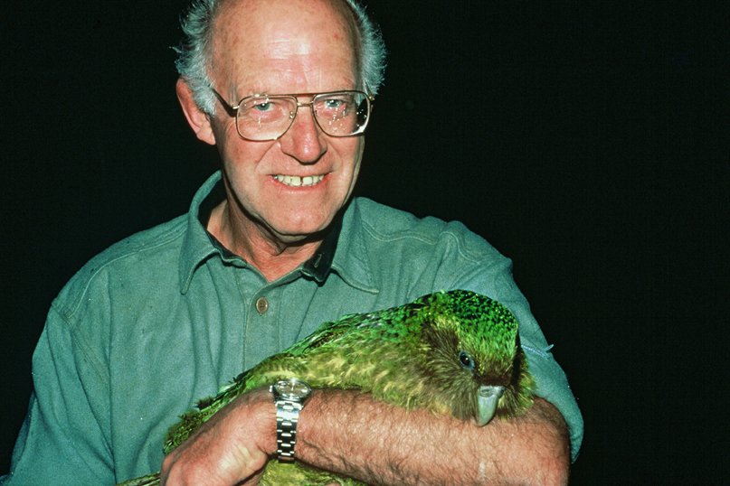 How You Can Help: Saving More Than a Bird (image credits: wikimedia)