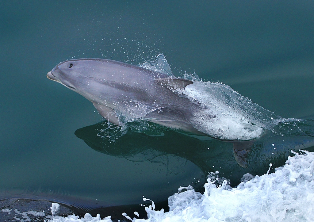 The Call of the Ocean: A Lasting Impression