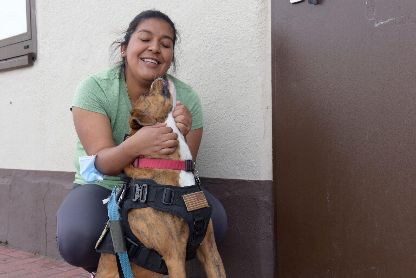 Dogs as Emotional Support: Beyond Simple Companionship (image credits: wikimedia)