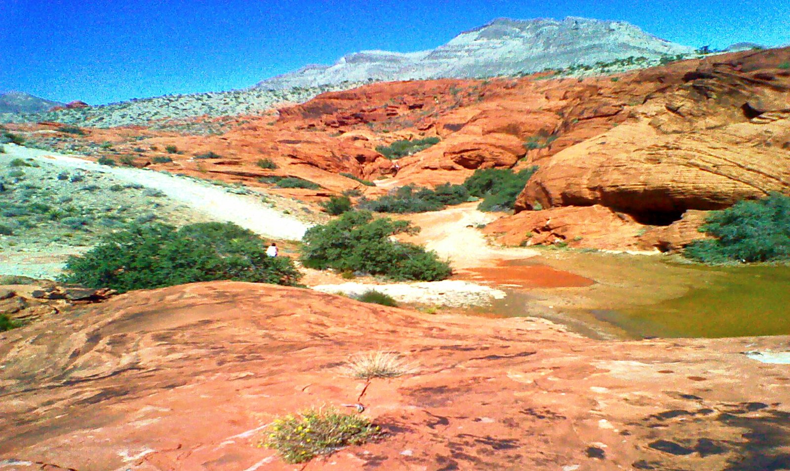 Water Scarcity: The Double-Edged Sword of Development (image credits: wikimedia)