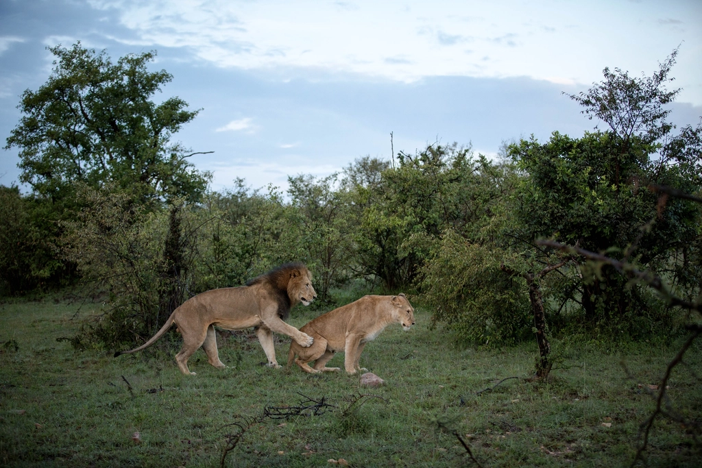 Ethical Questions: Should We Listen In? (image credits: rawpixel)