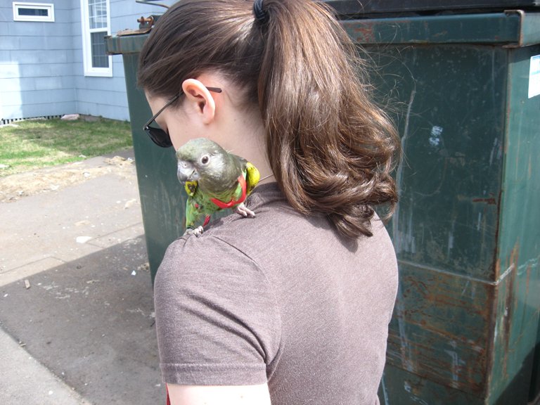 Case Studies: Remarkable Bird-Human Partnerships (image credits: wikimedia)