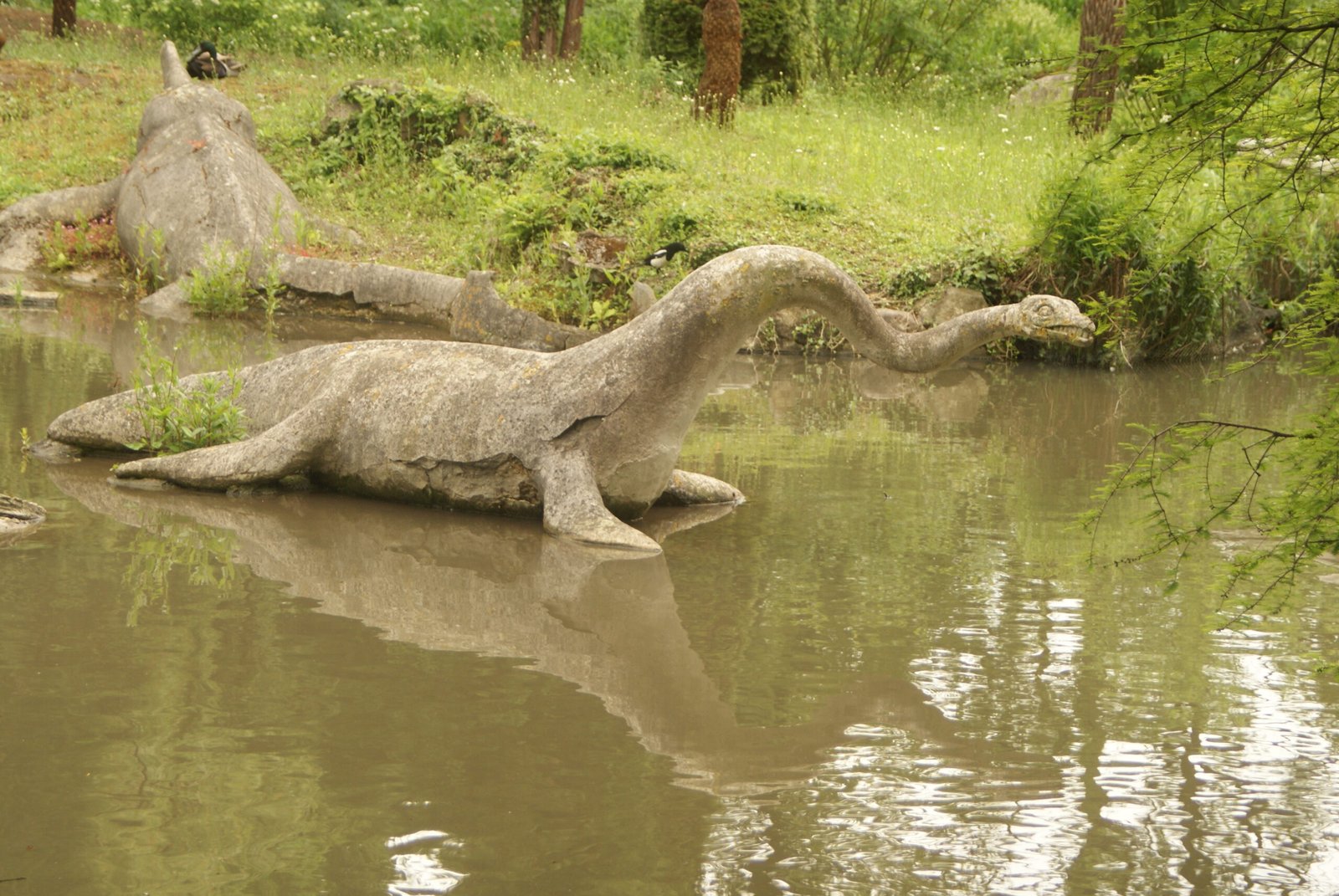 The Plesiosaur Theory: Science Meets Imagination (image credits: wikimedia)