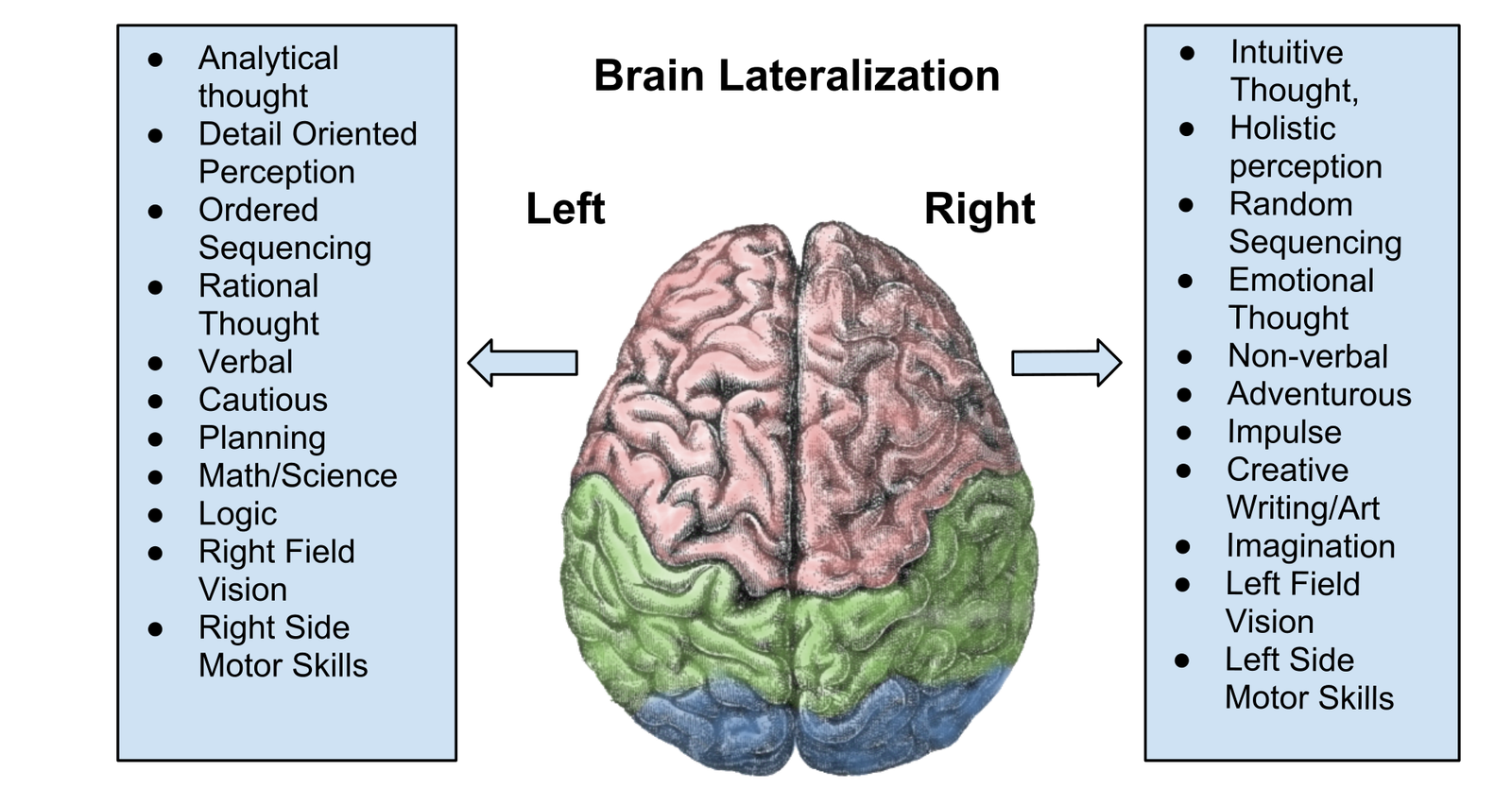 Brain Shrinkage and Creativity (image credits: wikimedia)